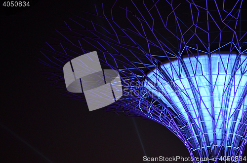 Image of Supertree Grove, Gardens by the Bay in Singapore