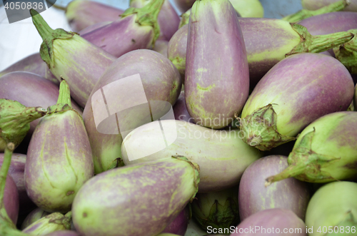 Image of Raw ripe Eggplant