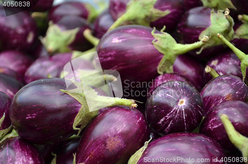 Image of Raw ripe Eggplant