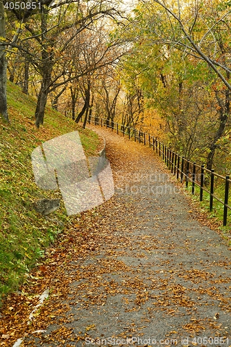 Image of Autumn park path