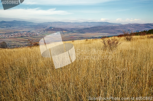 Image of Dry autumn meadow