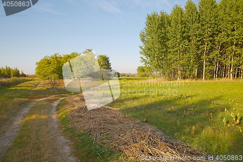 Image of Barren field in the countryside