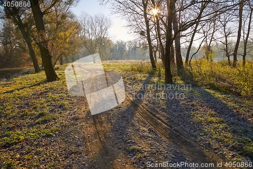 Image of Autumn morning landscape