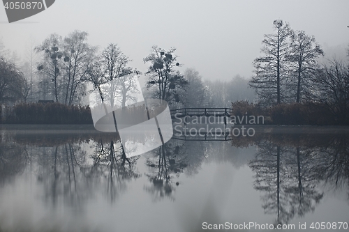 Image of Dark autumn park