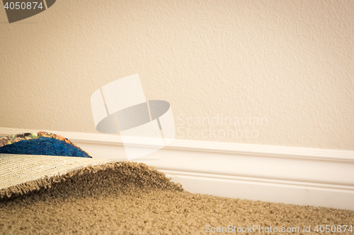 Image of Pulled Back Carpet and Padding In Room