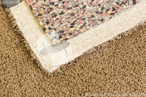 Image of Pulled Back Carpet and Padding In Room