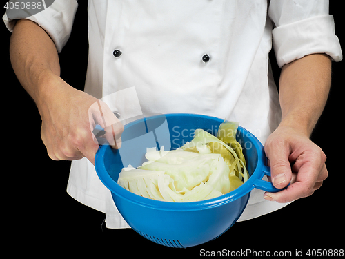 Image of Freshly made boiled parted cabbage in a colander, held by chef i