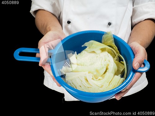 Image of Freshly made boiled parted cabbage in a colander, held by chef i