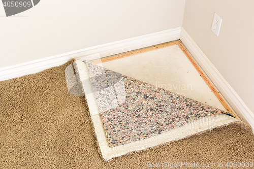Image of Pulled Back Carpet and Padding In Room