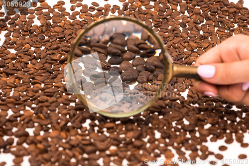 Image of Female hand keepig magnifying glass over the coffee beans