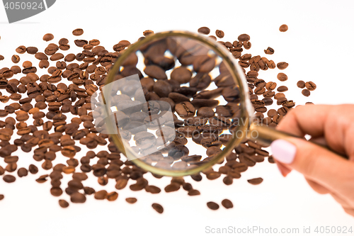 Image of Female hand keepig magnifying glass over the coffee beans