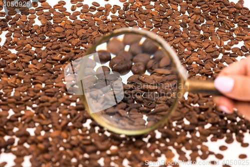 Image of Female hand keepig magnifying glass over the coffee beans
