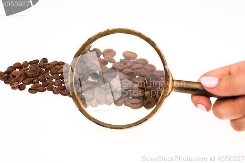 Image of Female hand keepig magnifying glass over the coffee beans