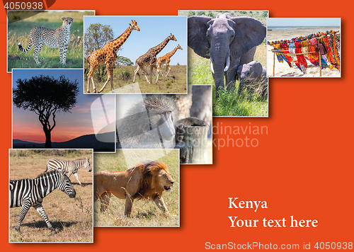 Image of Collage from images of wildlife and beautiful sunset in the Kenya Africa.