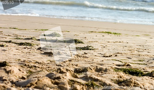 Image of Wild beach