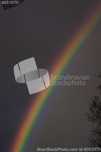 Image of rainbow