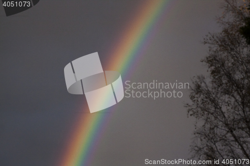Image of rainbow