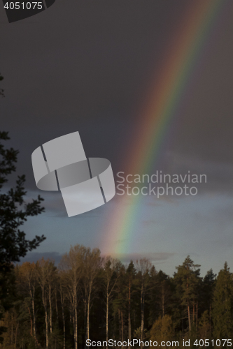 Image of rainbow