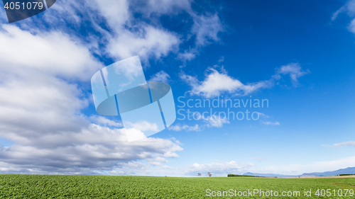 Image of Green fields and blue sky