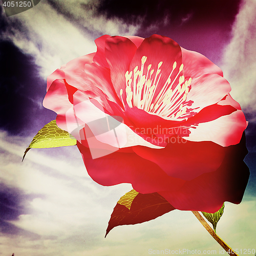 Image of Beautiful Flower against the sky . 3D illustration. Vintage styl