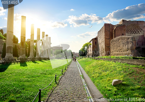 Image of Road to Roman Forum