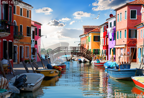 Image of Street in Burano