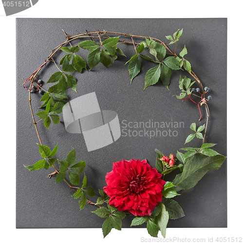 Image of round frame of branches and red rose