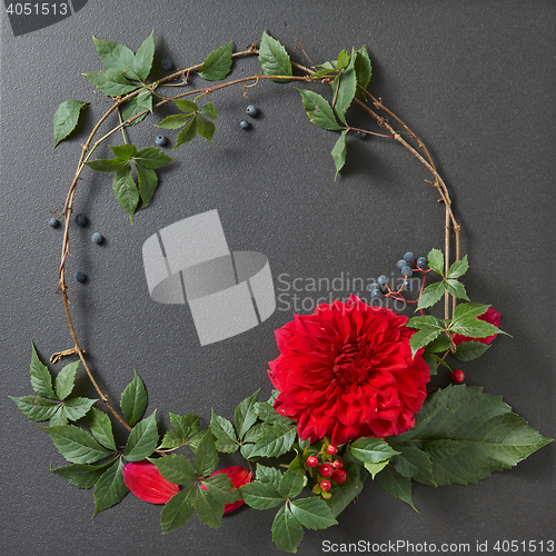 Image of round frame of branches and flower