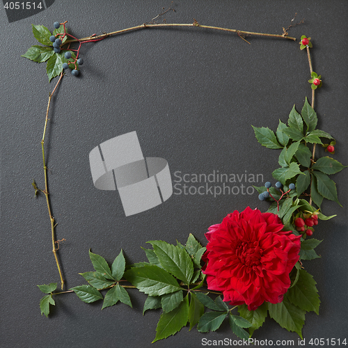 Image of Fresh red rose frame border isolated