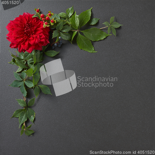 Image of Flower Border Design