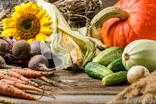 Image of Pumpkin and harvest vegetables