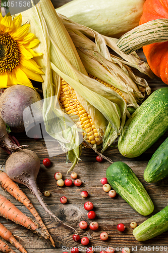 Image of Vegetables, berries and sunflowers