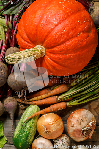 Image of Pumpkin and harvest vegetables