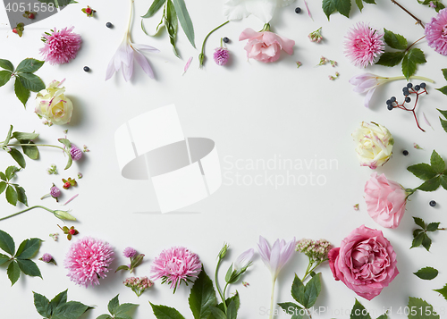 Image of border of pink and white roses with green leaves