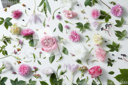 Image of elegant background of pink roses