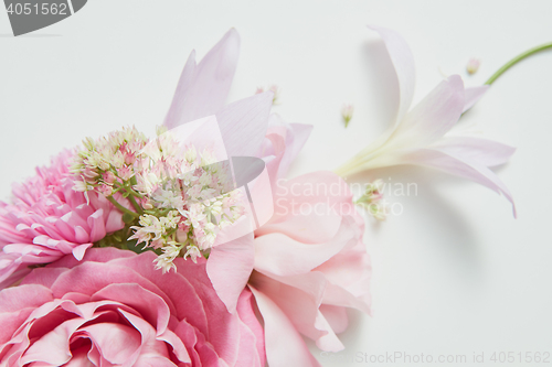 Image of frame on the corner of a pink flower