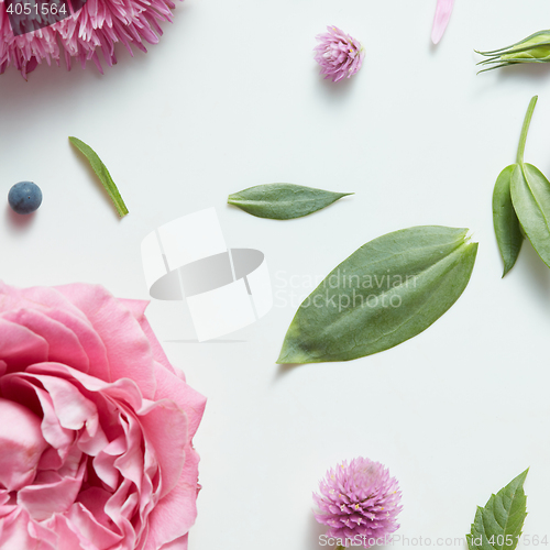 Image of background of pink roses