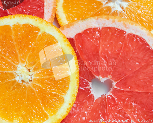 Image of background with citrus-fruit of Fresh  slices