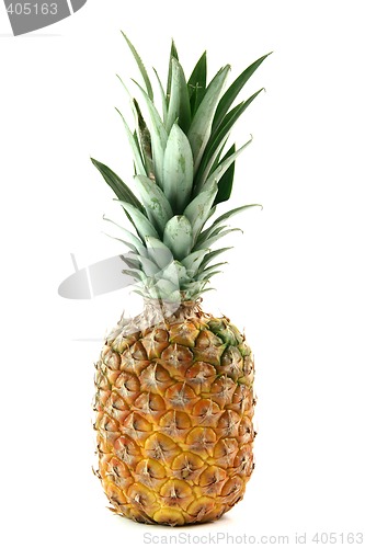 Image of ananas isolated