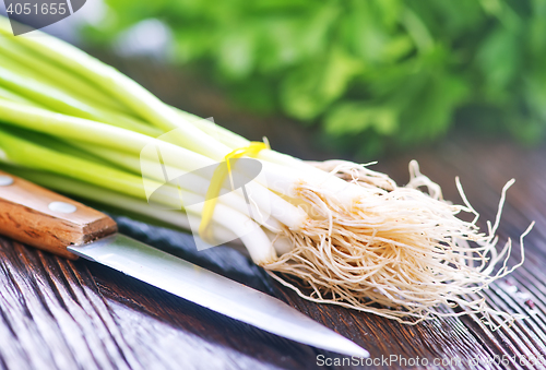 Image of parsley and onion