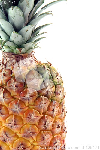 Image of detail ananas isolated