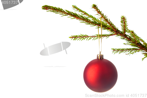 Image of Decoration bauble on decorated Christmas tree iso