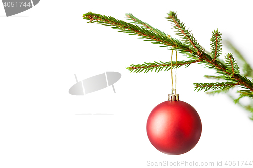 Image of Decoration bauble on decorated Christmas tree iso