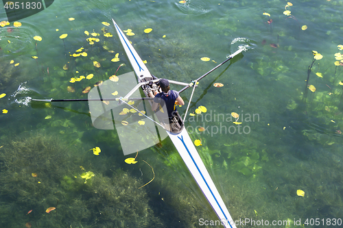 Image of A Young single scull rowing competitor paddles on the tranquil l