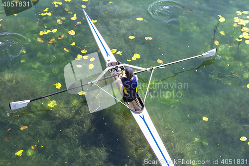 Image of A Young single scull rowing competitor paddles on the tranquil l