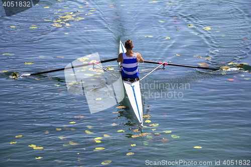 Image of A Young single scull rowing competitor paddles on the tranquil l