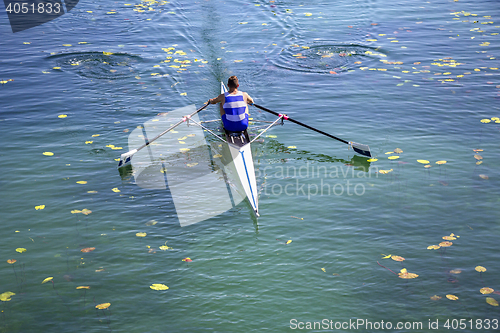 Image of A Young single scull rowing competitor paddles on the tranquil l