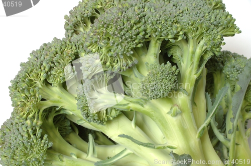 Image of Broccoli