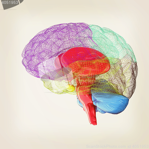 Image of Creative concept of the human brain. 3D illustration. Vintage st