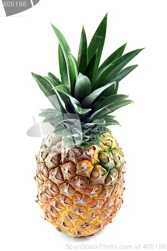 Image of leaves on pineapple